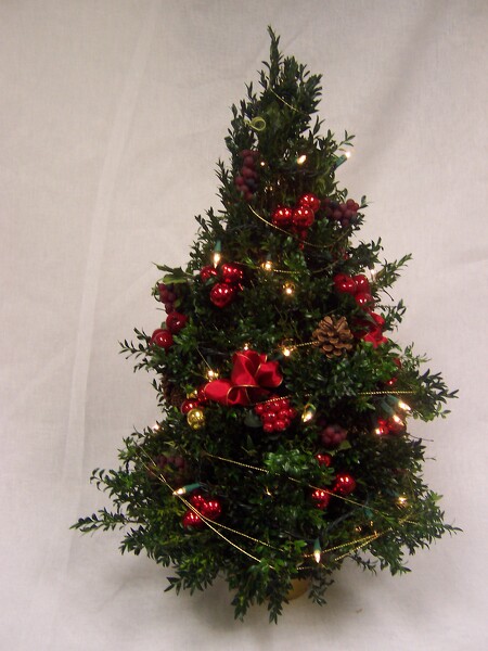 Boxwood Tree  from Peters Flowers in New York City