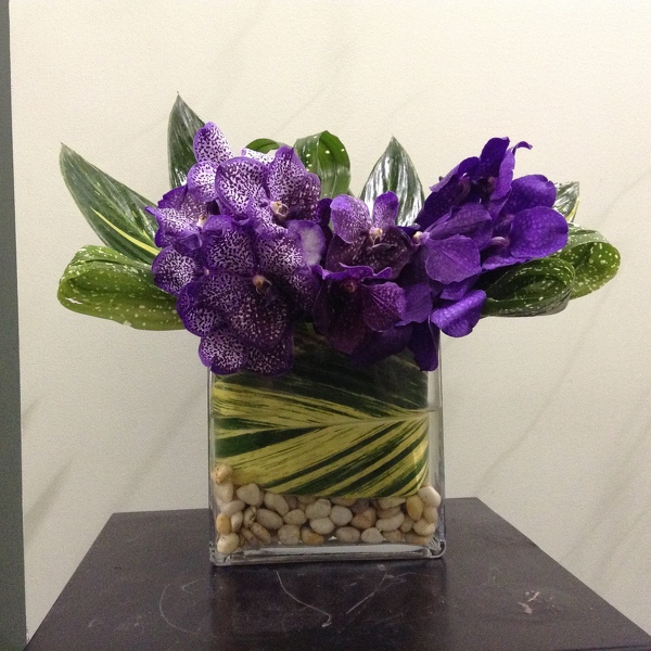 Purple Vandas from Peters Flowers in New York City